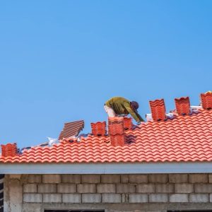 Sustitución de Cubiertas